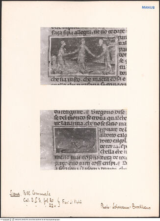 Vorderseite von bh602993_bh602994_recto