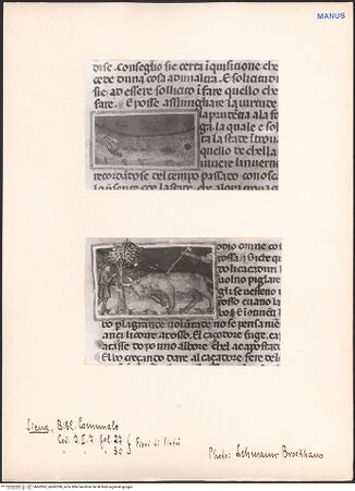 Vorderseite von bh602997_bh602998_recto