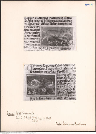 Vorderseite von bh603001_bh603002_recto