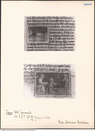 Vorderseite von bh603003_bh603004_recto