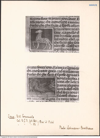 Vorderseite von bh603012_bh603013_recto