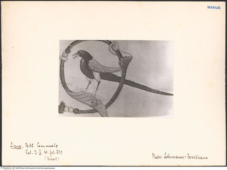 Vorderseite von bh603014_recto