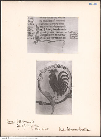 Vorderseite von bh603017_bh603018_recto