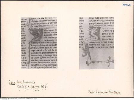 Vorderseite von bh603022_bh603023_recto