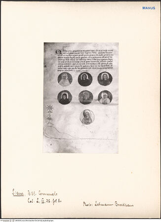 Vorderseite von bh603033_recto