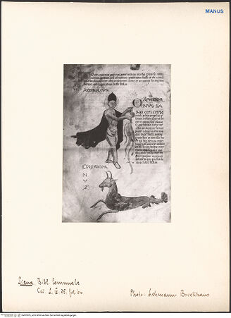 Vorderseite von bh603035_recto