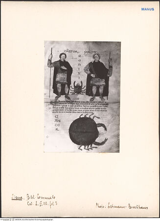 Vorderseite von bh603036_recto