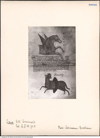 Vorderseite von bh603038_recto