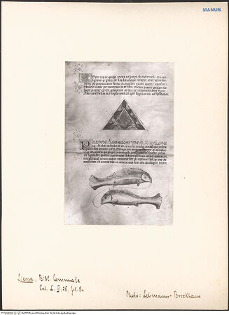 Vorderseite von bh603039_recto