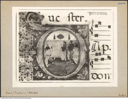 Vorderseite von bh603204_recto