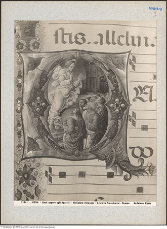 Vorderseite von bh603206_recto