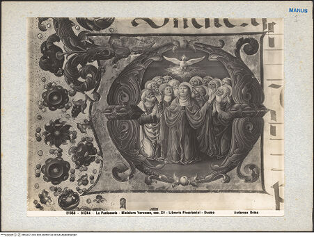 Vorderseite von bh603207_recto