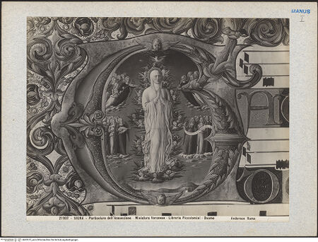 Vorderseite von bh603212_recto