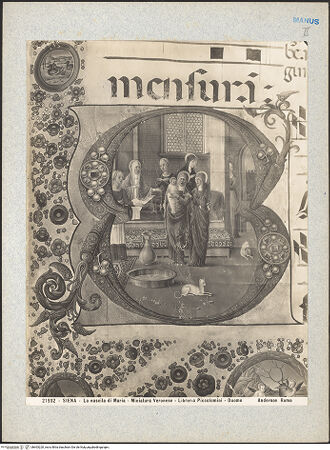 Vorderseite von bh603220_recto