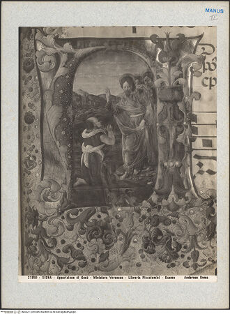 Vorderseite von bh603221_recto