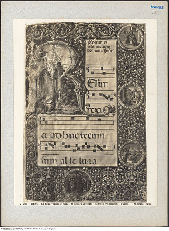 Vorderseite von bh603230_recto