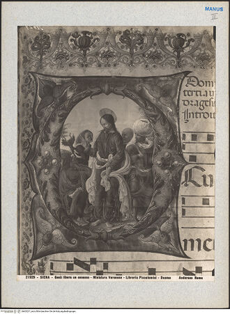 Vorderseite von bh603231_recto