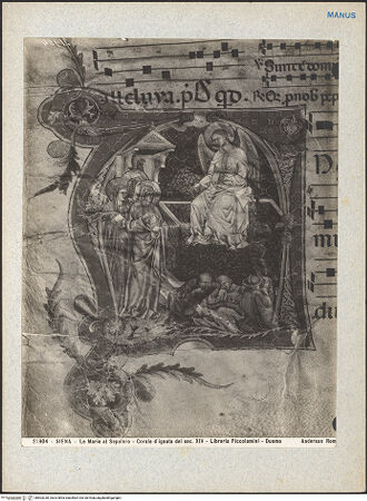 Vorderseite von bh603238_recto