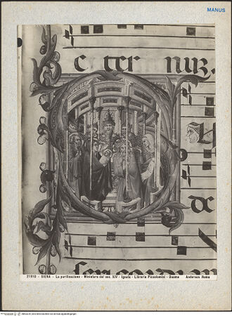 Vorderseite von bh603239_recto