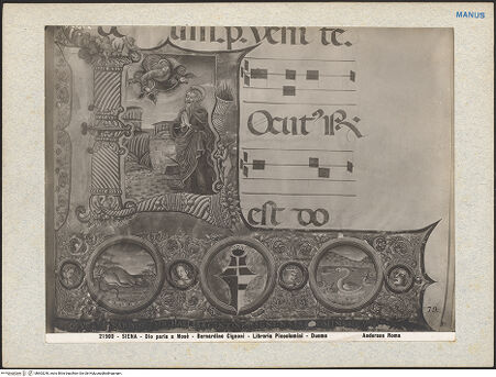 Vorderseite von bh603240_recto