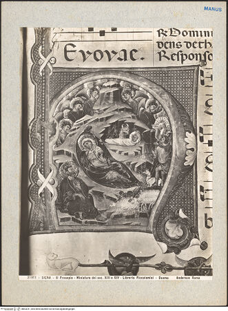 Vorderseite von bh603241_recto