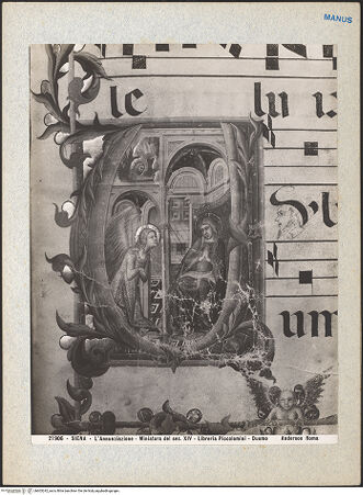 Vorderseite von bh603242_recto