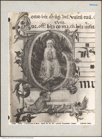 Vorderseite von bh603245_recto