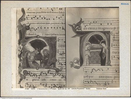 Vorderseite von bh603246_recto