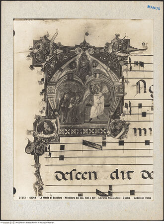 Vorderseite von bh603248_recto