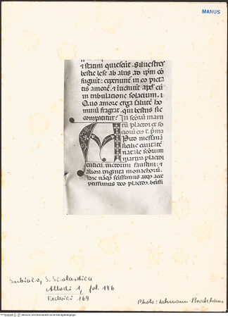 Vorderseite von bh603253_recto