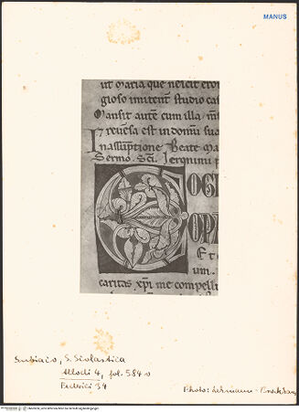 Vorderseite von bh603260_recto