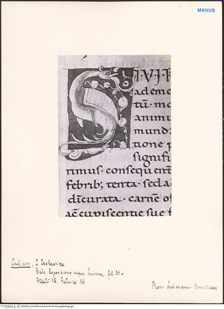 Vorderseite von bh603269_recto