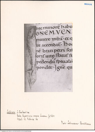 Vorderseite von bh603273_recto