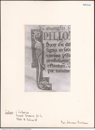 Vorderseite von bh603274_recto