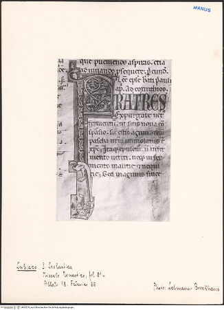 Vorderseite von bh603276_recto