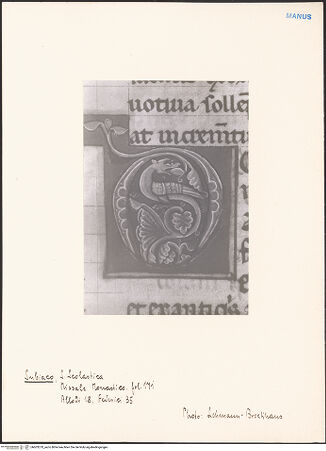 Vorderseite von bh603279_recto