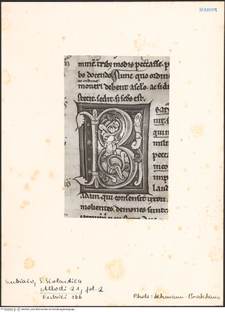 Vorderseite von bh603281_recto