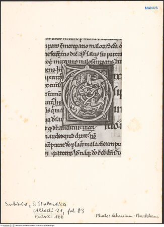 Vorderseite von bh603283_recto