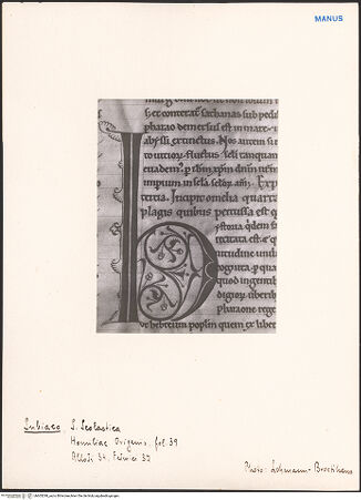 Vorderseite von bh603299_recto