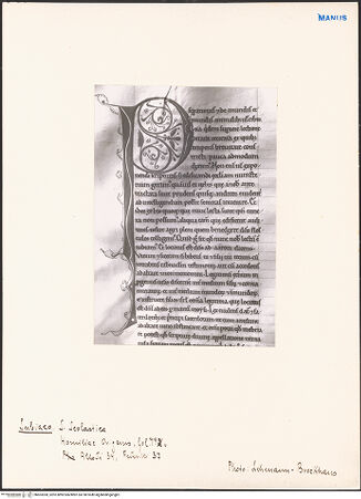 Vorderseite von bh603300_recto