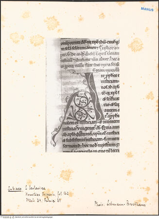 Vorderseite von bh603302_recto