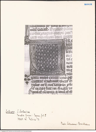 Vorderseite von bh603303_recto