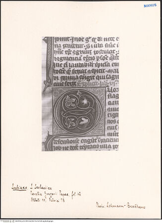 Vorderseite von bh603304_recto