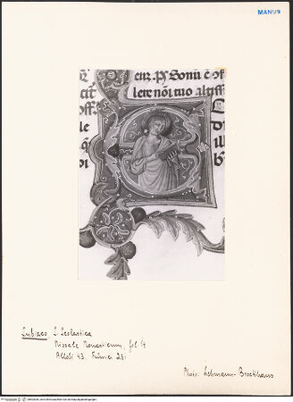 Vorderseite von bh603306_recto