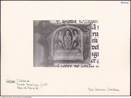 Vorderseite von bh603317_recto