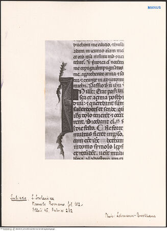 Vorderseite von bh603322_recto