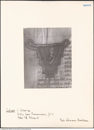 Vorderseite von bh603330_recto