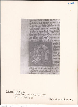 Vorderseite von bh603333_recto