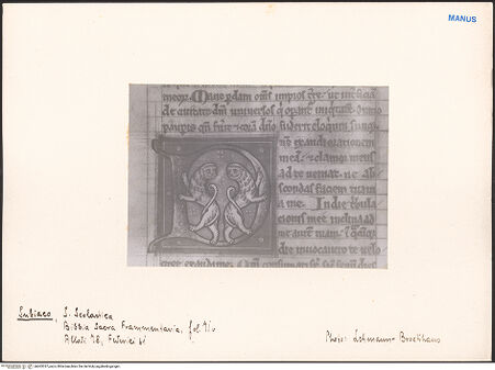 Vorderseite von bh603337_recto