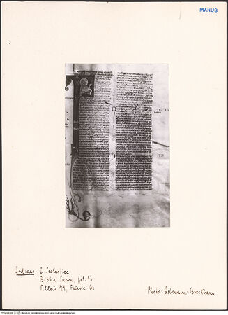 Vorderseite von bh603342_recto